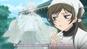 Kamisama Hajimemashita